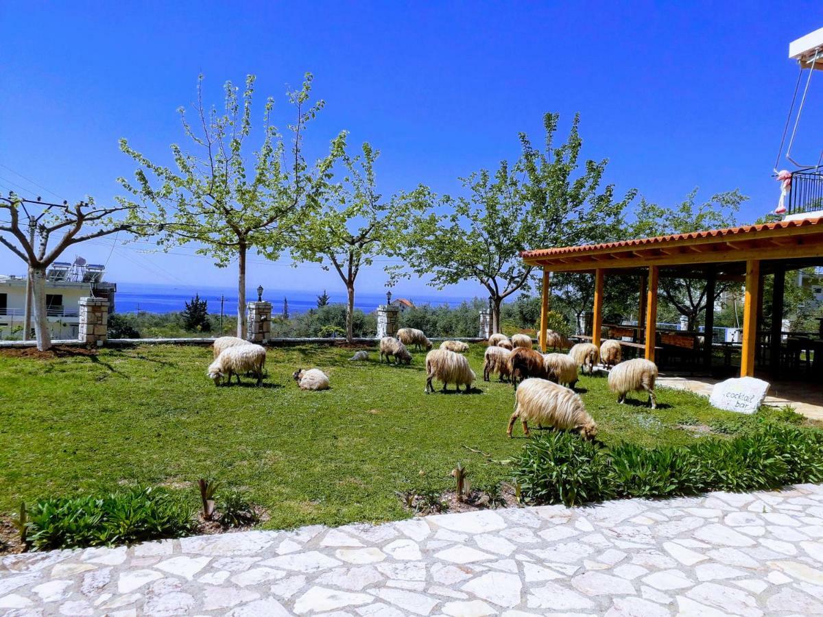 Pensión Agrotourism *