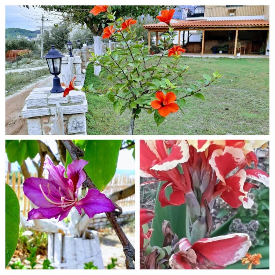 Agrotourism * Himarë