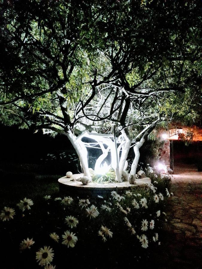 Agrotourism * Himare