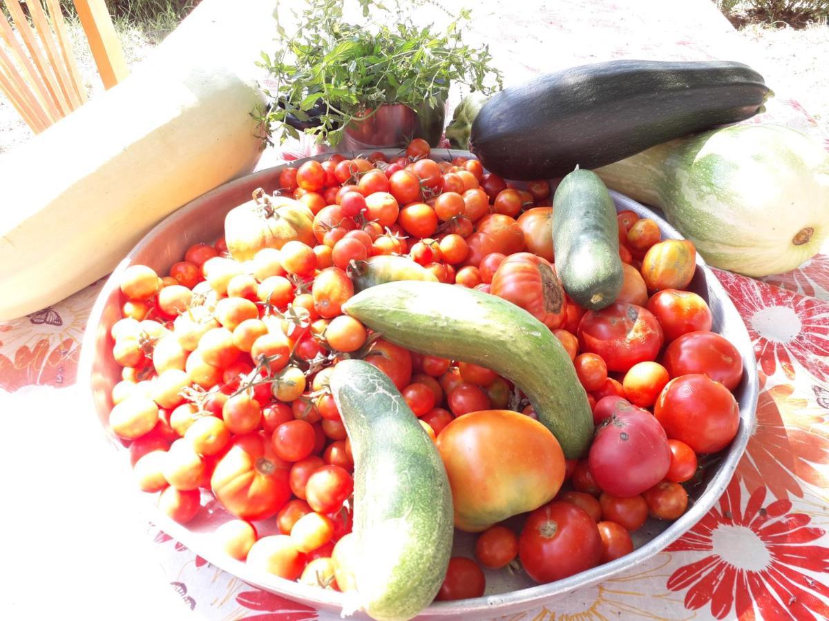 Agrotourism